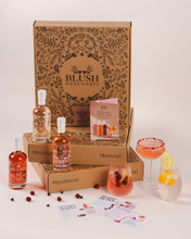 Load image into Gallery viewer, NEW Blush Gin Discovery Collection