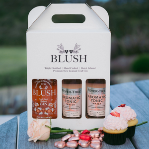 Blush To-Go Carry Gift Box Valentine's Day