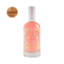 Load image into Gallery viewer, Blush Citrus Gin 250mL with award