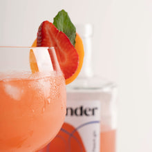 Load image into Gallery viewer, Weekender Peach Gin