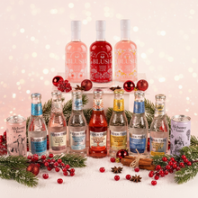Load image into Gallery viewer, Ultimate Gin &amp; Tonic Discovery Pack