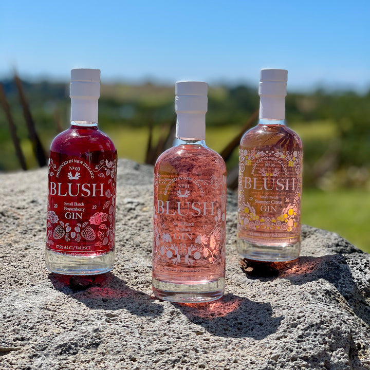 Blush Gin 250ml Boysenberry, Rhubarb &amp; Citrus
