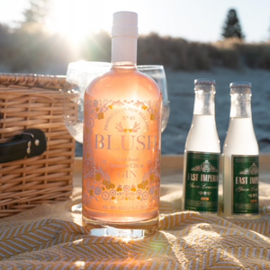 Blush Citrus Gin 700mL and Tonic